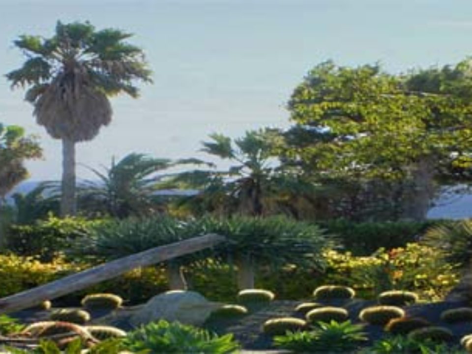 Giardini Ravino, Parco Botanico Tropical Mediterraneo